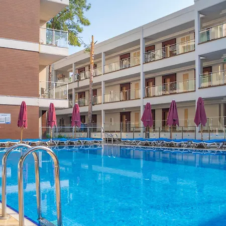 Orka Lotus 马尔马里斯