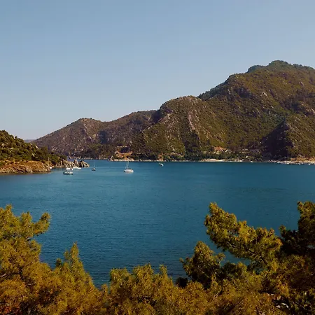 Orka Lotus 5* 马尔马里斯