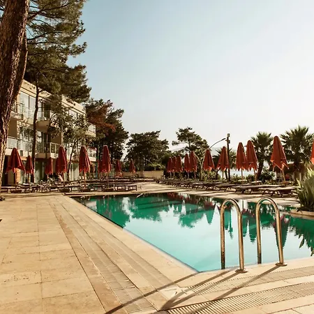 Orka Lotus 马尔马里斯